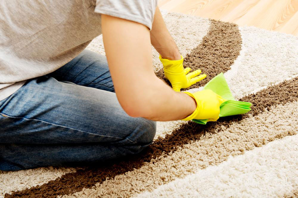 Simple tips to remove stains and odor from your carpets