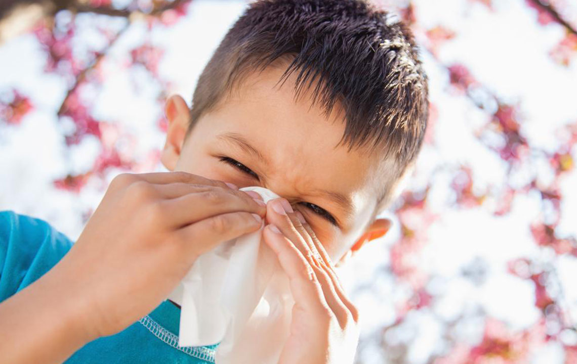 Everything You Need to Know about Mold Allergies